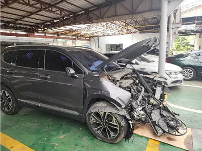 2019 Hyundai Santa FE 943KMKMHS381ABKU1 VIN:943KMKMHS381ABKU1