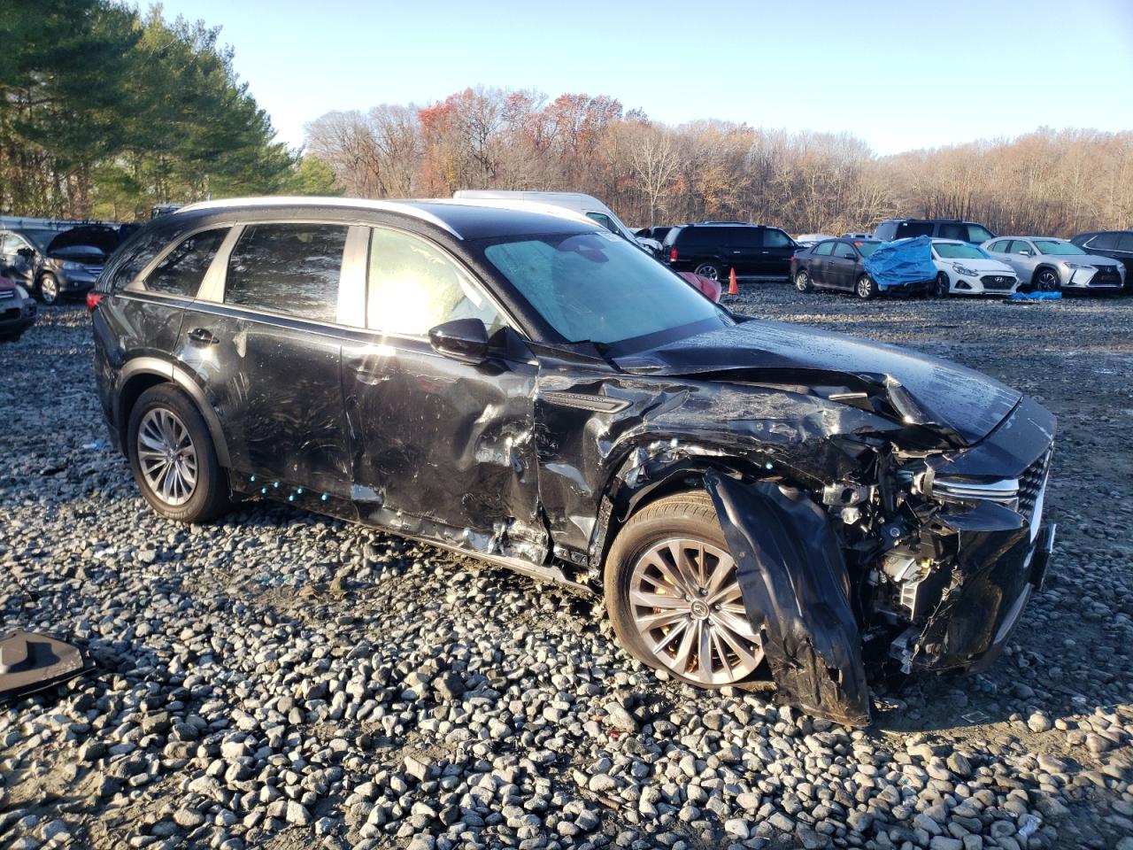 2024 MAZDA CX-90 SELECT VIN:JM3KKAHD8R1182349