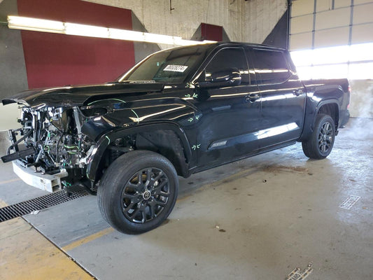 2024 TOYOTA TUNDRA CREWMAX PLATINUM VIN:5TFNC5DBXRX058479