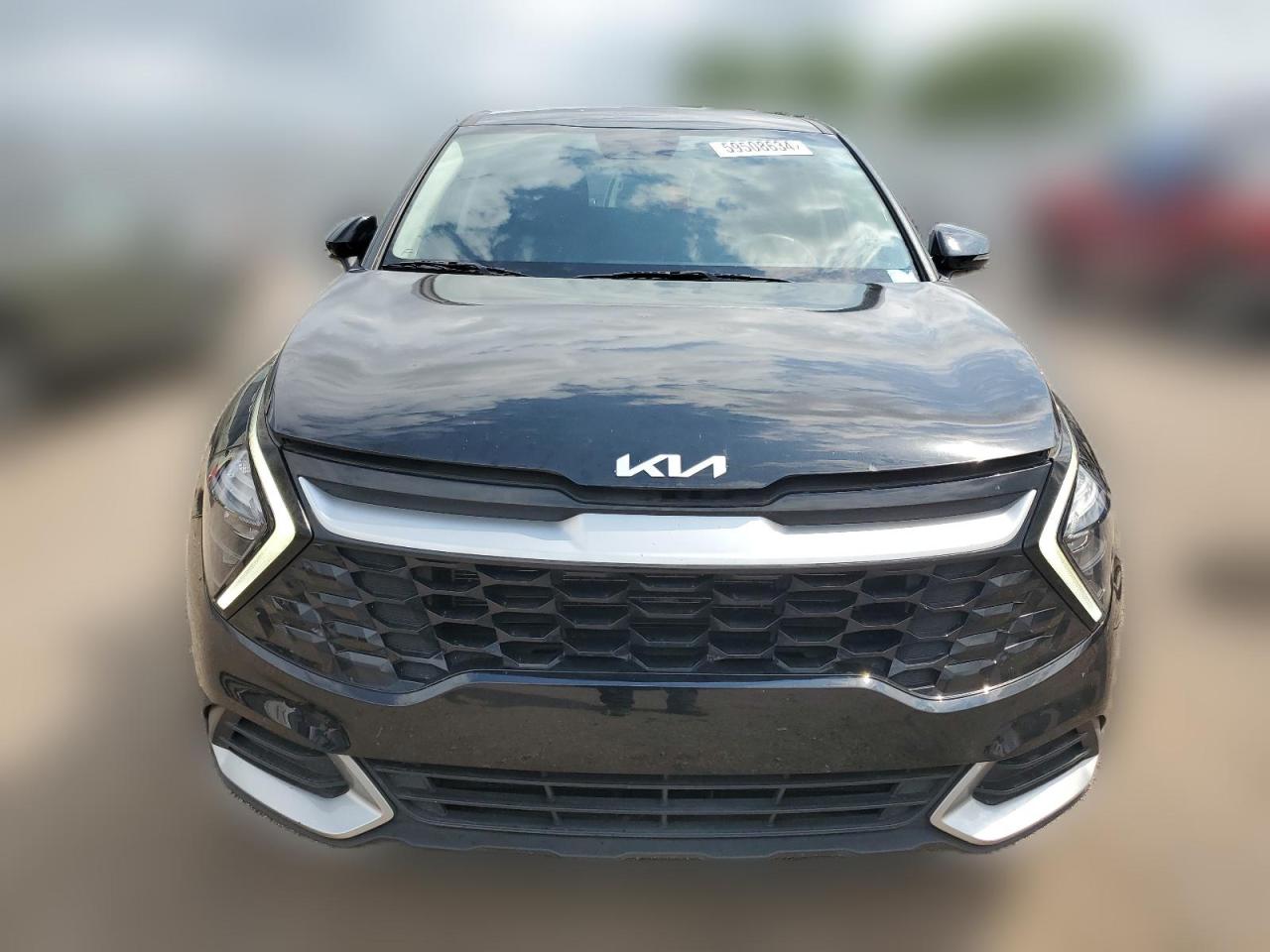 2023 KIA SPORTAGE EX VIN:5XYK33AF9PG004556