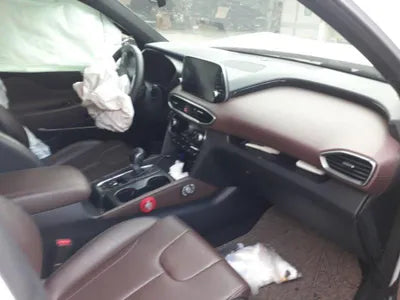 2019 Hyundai Santa FE KMHS581CDLU237680 VIN:KMHS581CDLU237680