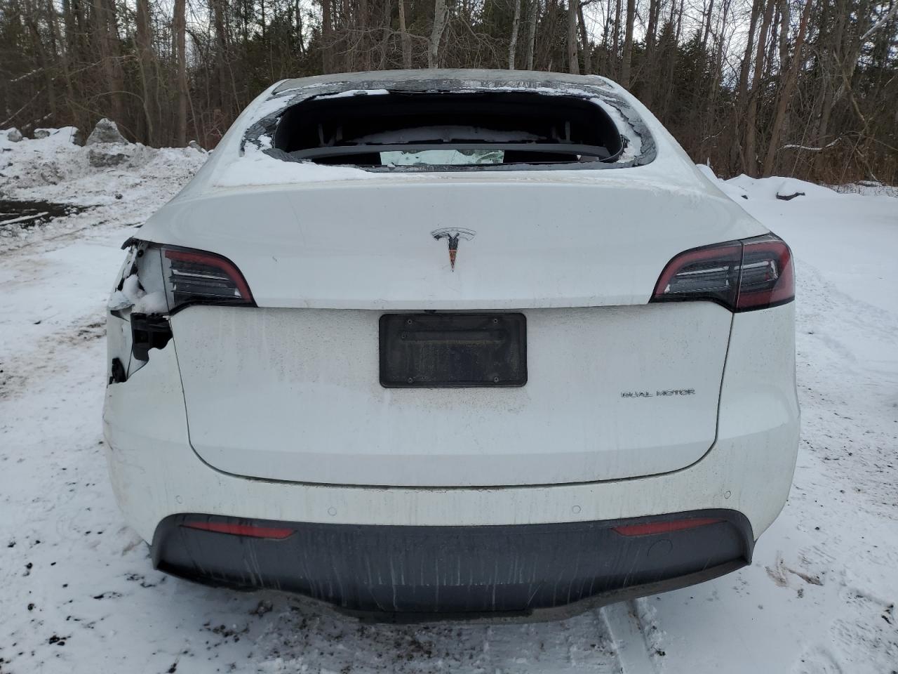 2022 TESLA MODEL Y  VIN:7SAYGDEE8NF548995