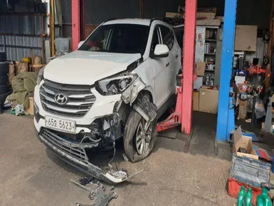 2018 Hyundai Santa FE KMHSW81UDJU796472 VIN:KMHSW81UDJU796472