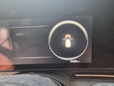 2020 Kia Carnival KNANC81BBMS015175 VIN:KNANC81BBMS015175