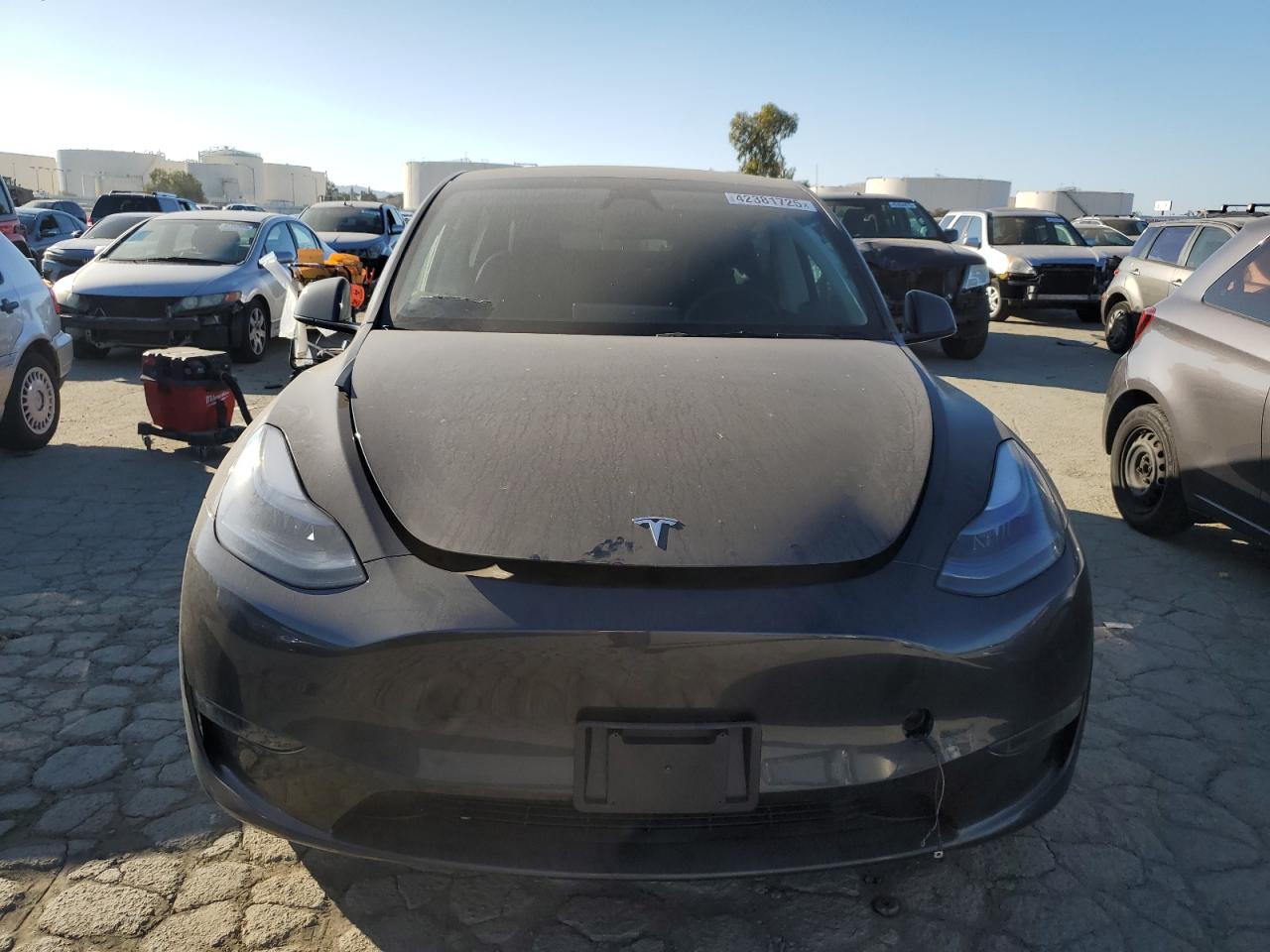 2024 TESLA MODEL Y  VIN:7SAYGDED7RF196053