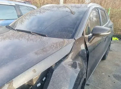 2023 Kia Sportage KNAPV81BGPK209751 VIN:KNAPV81BGPK209751
