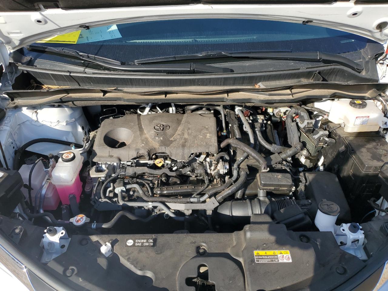 2023 TOYOTA SIENNA XLE VIN:5TDYRKEC5PS141628