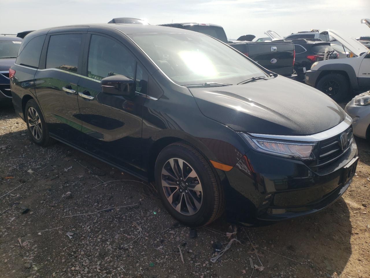 2024 HONDA ODYSSEY EXL VIN:5FNRL6H68RB033028