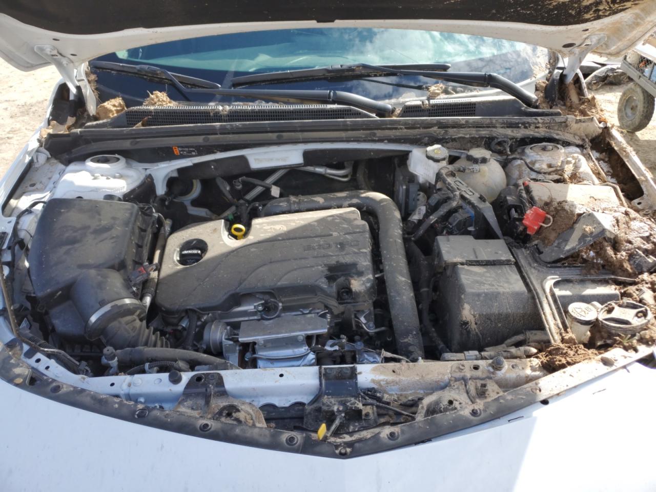 2024 CHEVROLET MALIBU LS VIN:1G1ZC5ST0RF188783