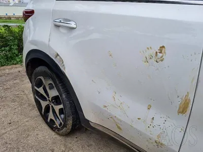 2015 Kia Sportage NONE VIN: