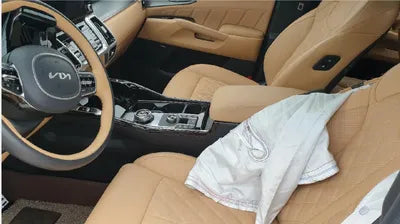 2022 Kia Sorento KNARF81BHNA125531 VIN:KNARF81BHNA125531