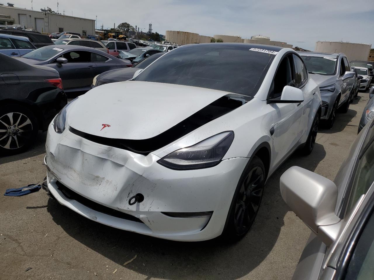 2023 TESLA MODEL Y  VIN:7SAYGAEE1PF906942