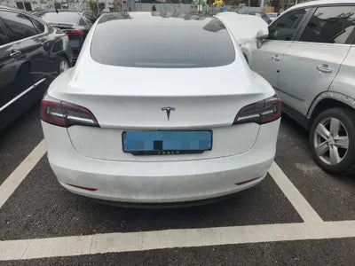 2020 Tesla Model 3 VIN: