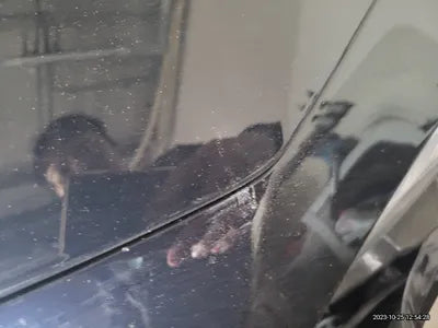 2022 maserati gibbli tropeo ZAM57ZSG9N1382199 VIN:ZAM57ZSG9N1382199
