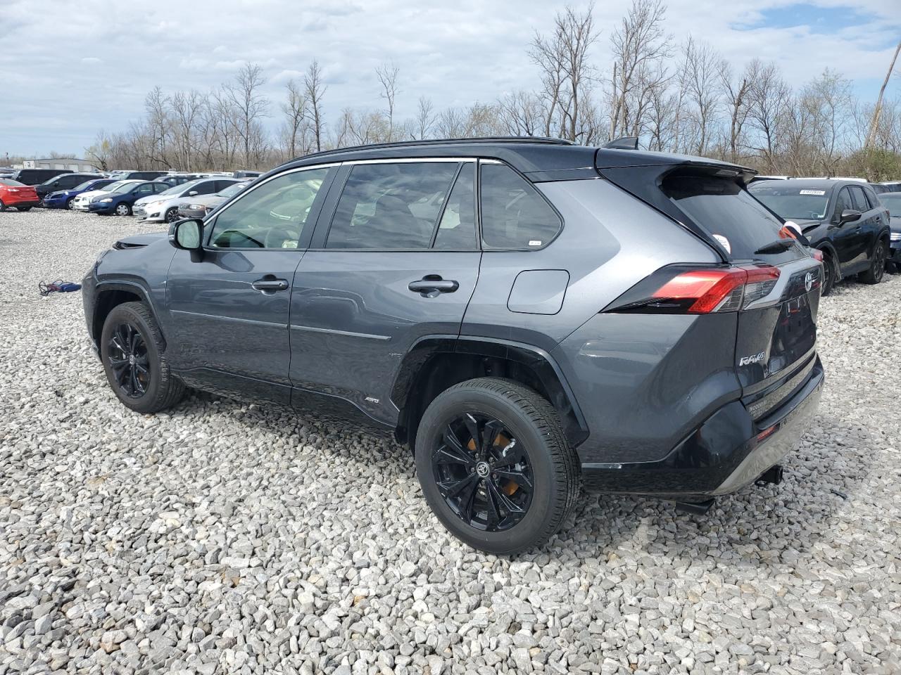 2024 TOYOTA RAV4 XSE VIN:JTME6RFV8RD553156