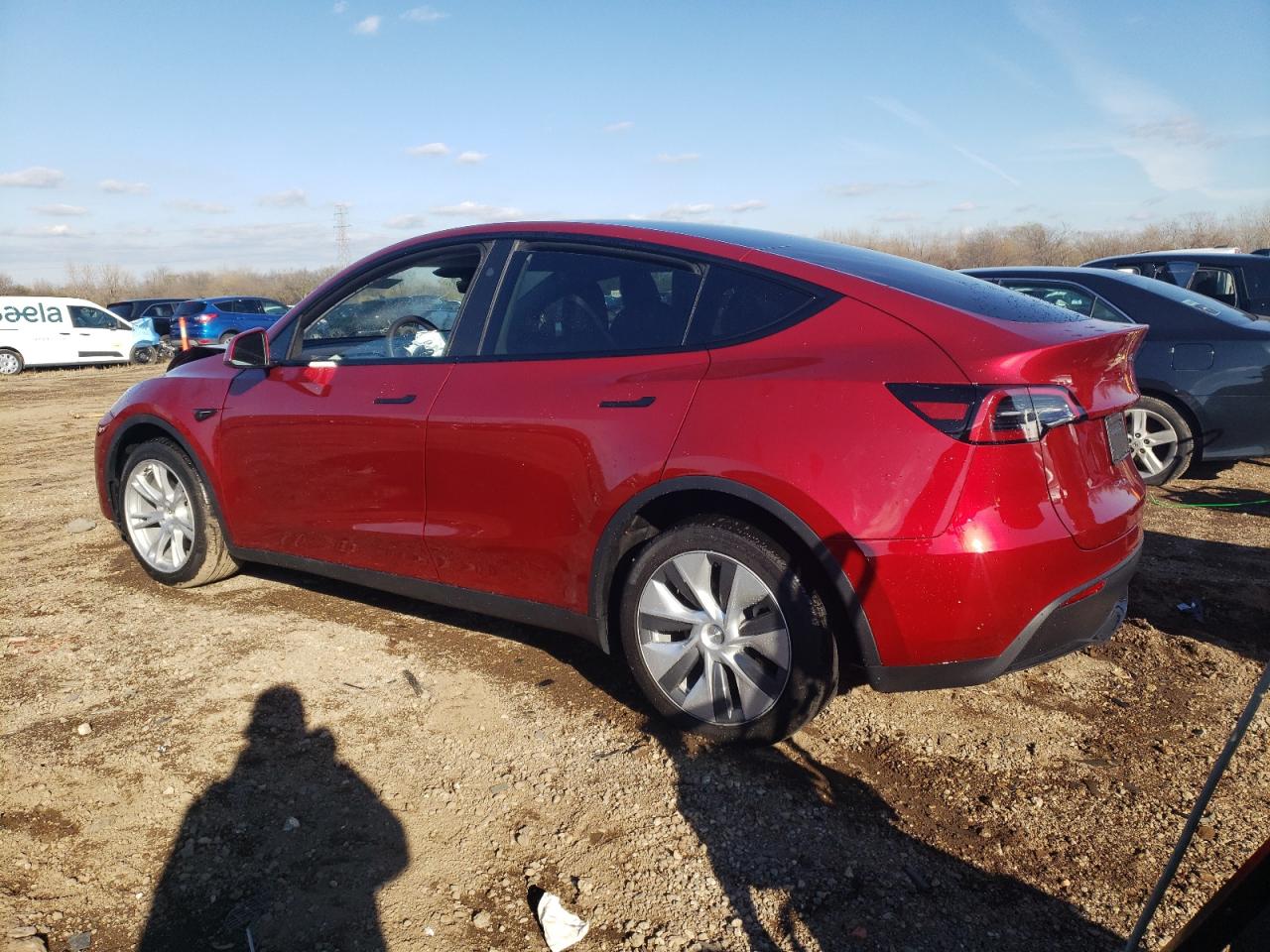 2024 TESLA MODEL Y  VIN:7SAYGDEE9RF025815