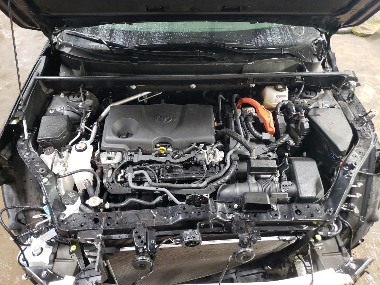 2023 TOYOTA RAV4 XLE VIN:JTMRWRFV7PD199631