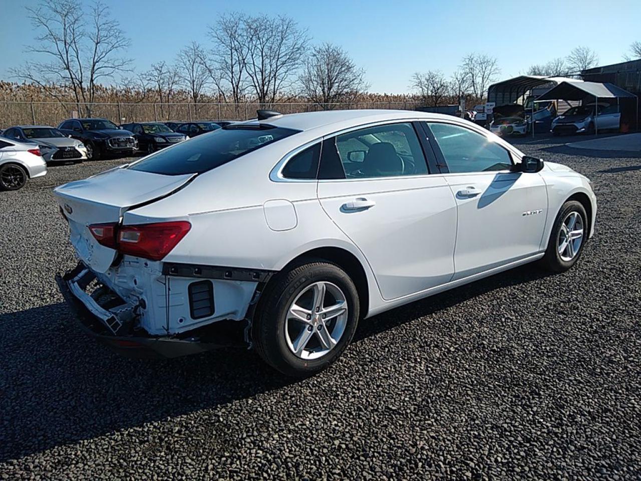 2023 CHEVROLET MALIBU LS VIN:1G1ZC5ST3PF157699