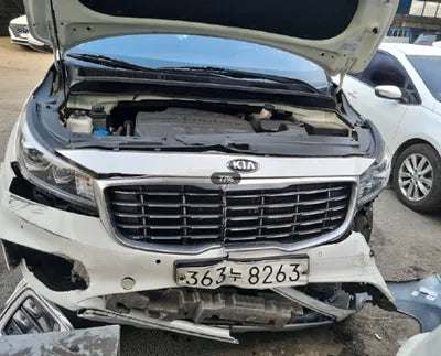 2020 Kia Carnival KNAME81ABLS615215 VIN:KNAME81ABLS615215