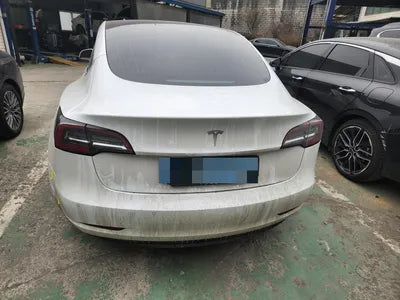 2020 Tesla Model 3 5YJ3E1EA6LF726523 VIN:5YJ3E1EA6LF726523