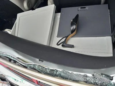 2023 Kia Carnival KNANE813BPS296612 VIN:KNANE813BPS296612