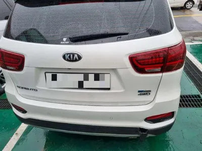 2019 Kia Sorento KNAPS81BDLA636099 VIN:KNAPS81BDLA636099