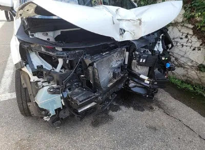 2021 Kia Carnival KNANE81BBMS067853 VIN:KNANE81BBMS067853