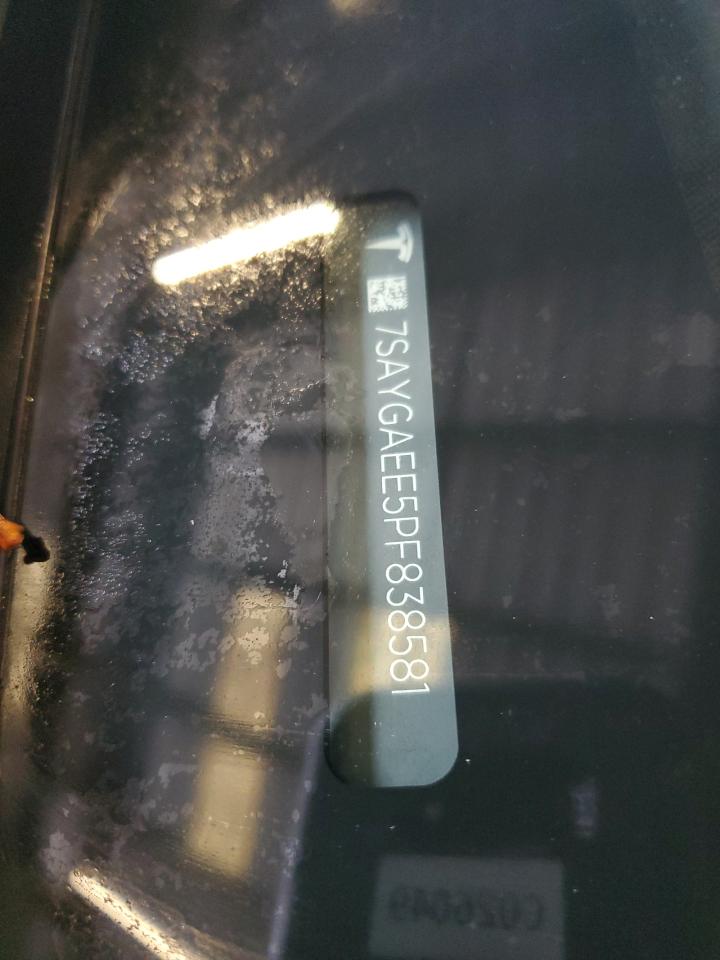 2023 TESLA MODEL Y  VIN:7SAYGAEE5PF838581