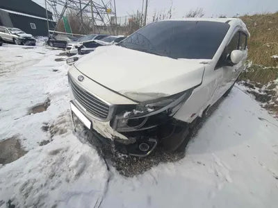 2016 Kia Carnival KNAMB81ABGS176969 VIN:KNAMB81ABGS176969