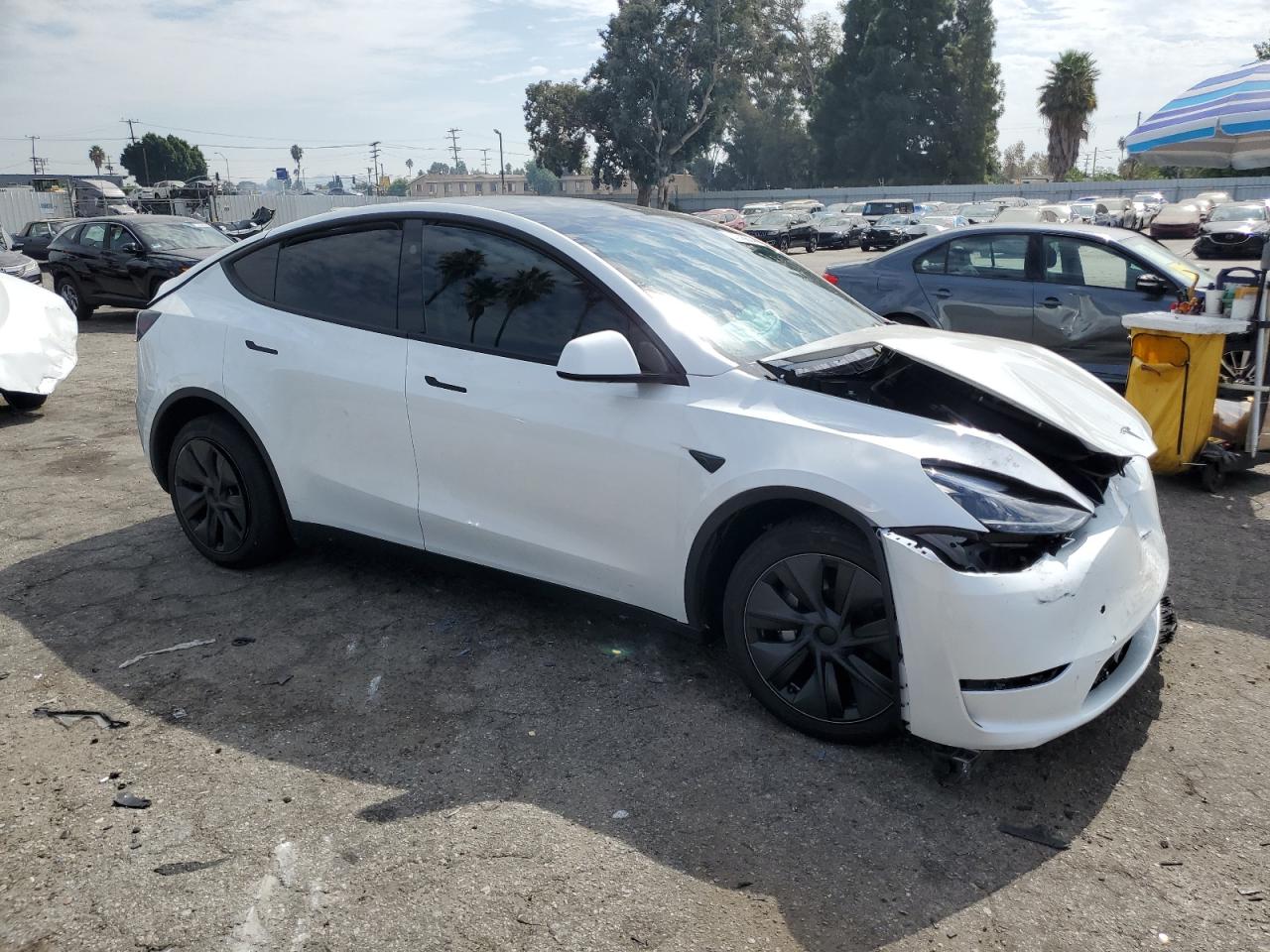 2024 TESLA MODEL Y  VIN:7SAYGDEE5RF131663