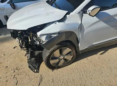 2019 Hyundai Kona KMHK281GFKU039495 VIN:KMHK281GFKU039495