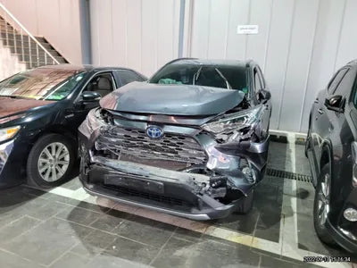 2019 Toyota RAV4 JTMDWRFV4KD030718 VIN:JTMDWRFV4KD030718