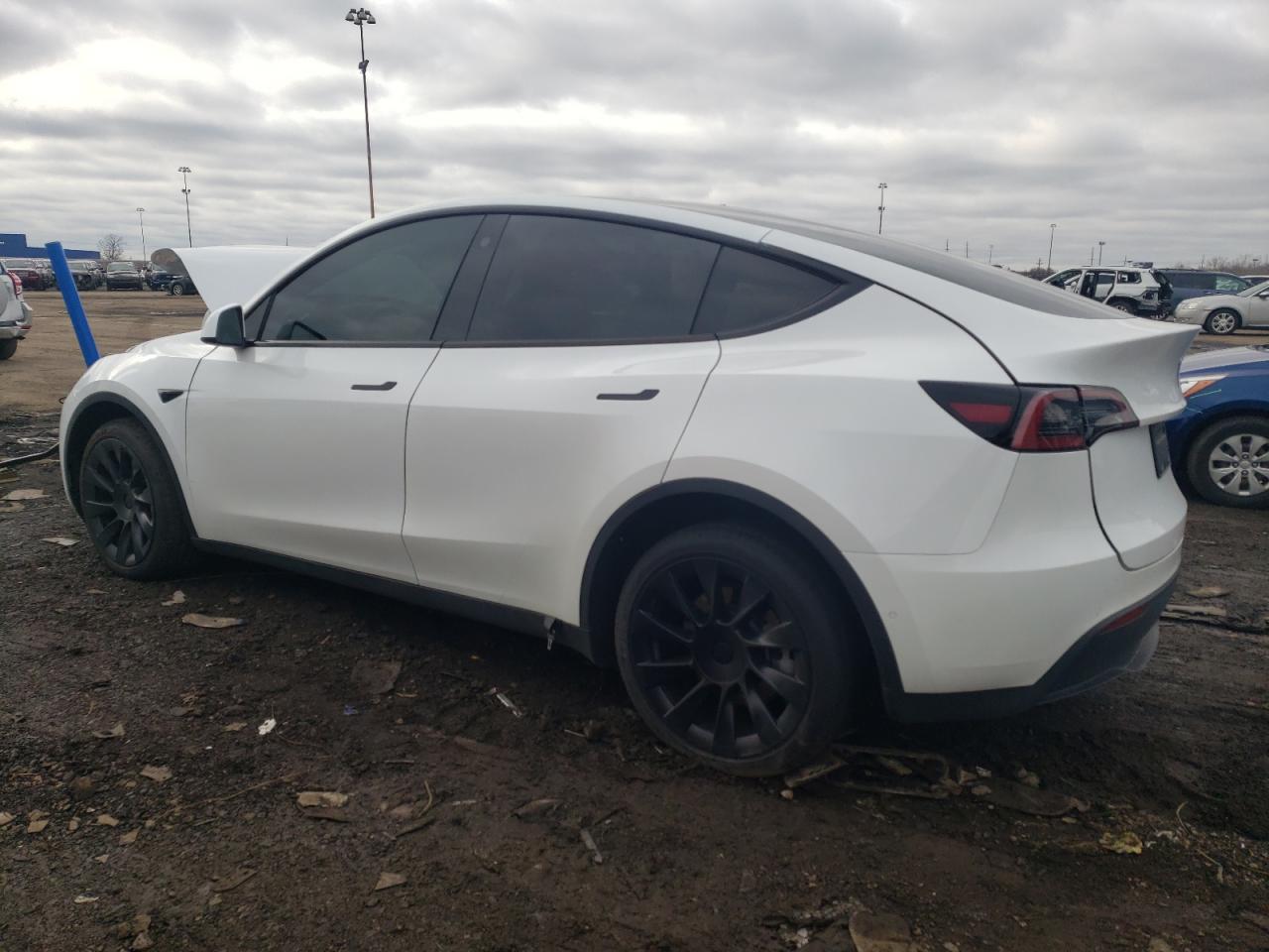 2022 TESLA MODEL Y  VIN:7SAYGDEE2NA018311