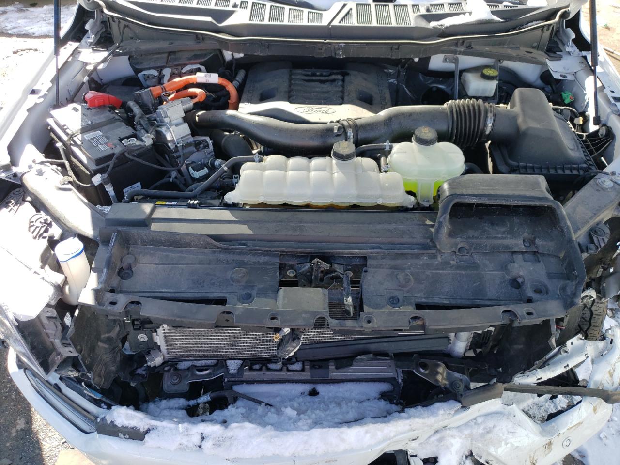 2023 FORD F150 SUPERCREW VIN:1FTFW1ED9PFA15646