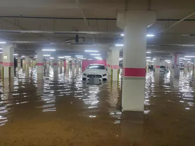 2020 Mercedes-Benz CLS 450 VIN: