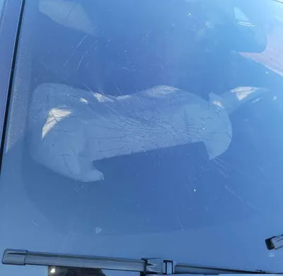 2016 BMW 528 WBA5A7108GG297432 VIN:WBA5A7108GG297432