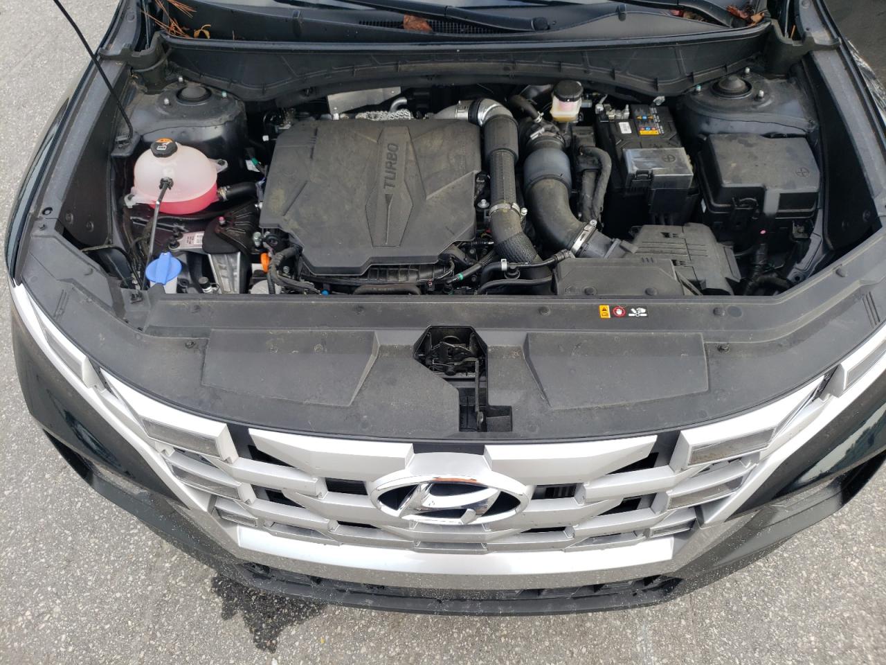 2023 HYUNDAI SANTA CRUZ SEL PREMIUM VIN:5NTJDDAF3PH051753