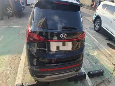 2021 Hyundai Santa FE KMHS281HGMU396979 VIN:KMHS281HGMU396979