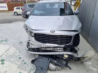 2019 Kia Carnival KNAMB81ABLS621274 VIN:KNAMB81ABLS621274