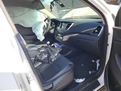2017 Hyundai Tucson KMHJ2815GHU385264 VIN:KMHJ2815GHU385264