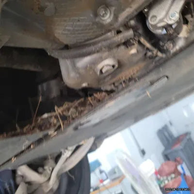 2021 BMW X4 M WBSUJ010XM9F16036 VIN:WBSUJ010XM9F16036