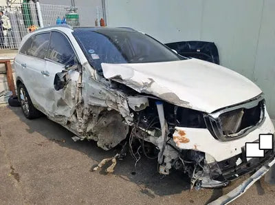 2019 Kia Sorento KNAPK81BDKA504366 VIN:KNAPK81BDKA504366