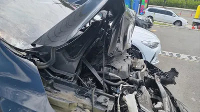 2019 Kia Carnival VIN: