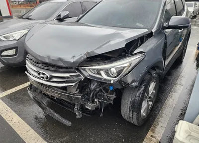2017 Hyundai Santa FE KMHSW81UBHU758465 VIN:KMHSW81UBHU758465