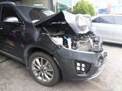 2017 Kia Sorento 963KMKNAPS81ABHA3 VIN:963KMKNAPS81ABHA3