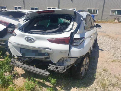 2019 Hyundai Kona KMHK281GFLU066548 VIN:KMHK281GFLU066548