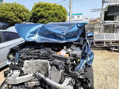 2021 Kia Sorento KNARH81GBMA047432 VIN:KNARH81GBMA047432