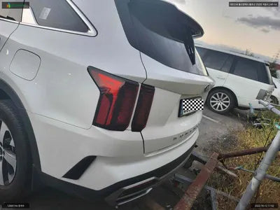 2021 Kia Sorento KNARF81BGMA095607 VIN:KNARF81BGMA095607