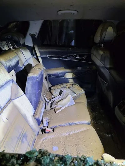 2017 Kia Sorento 386KMKNAPH81ABHA3 VIN:386KMKNAPH81ABHA3