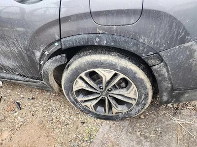 2019 Hyundai Santa FE 2KMHS381BBKU07648 VIN:2KMHS381BBKU07648